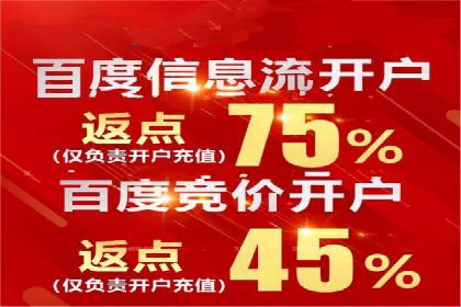 案例分享：网络推广竞价策略应用